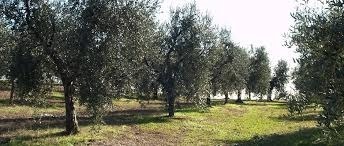 La nostra azienda